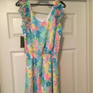 NWT Danna Dress - Print (Resort White Spring Fling) - Lilly Pulitzer 🌸 - Size S